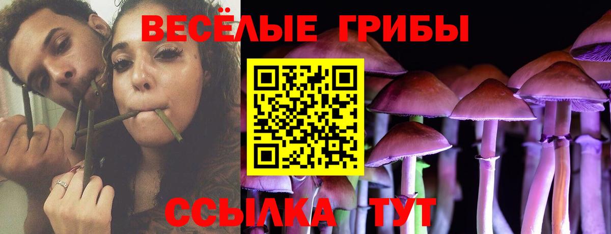 Галлюциногенные грибы Psilocybe Мариинск